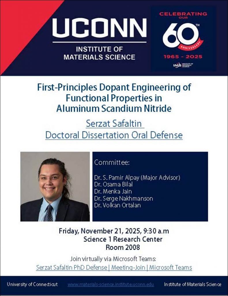 Serzat Safaltin PhD Defense